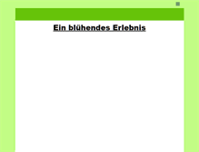 Tablet Screenshot of blumen-bintig.de